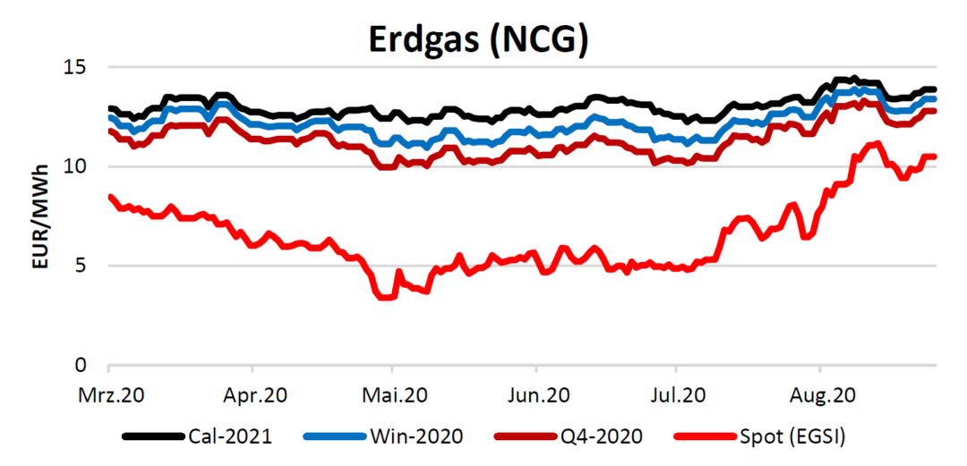 Energiemarktbericht vom 17. September 2020 - EFI-NET